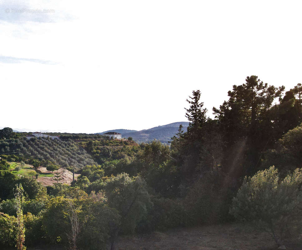 Terrain à BASTELICACCIA