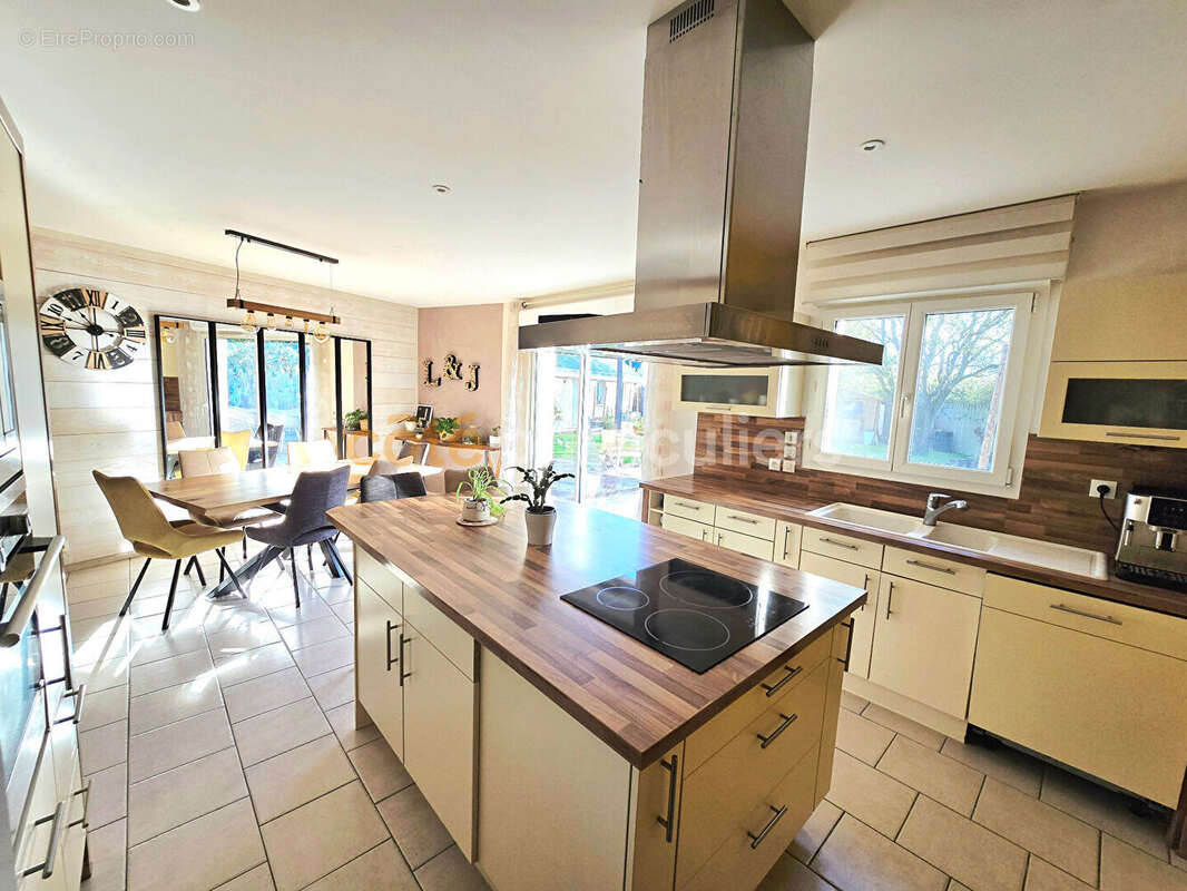 Maison à VILLEPERDUE