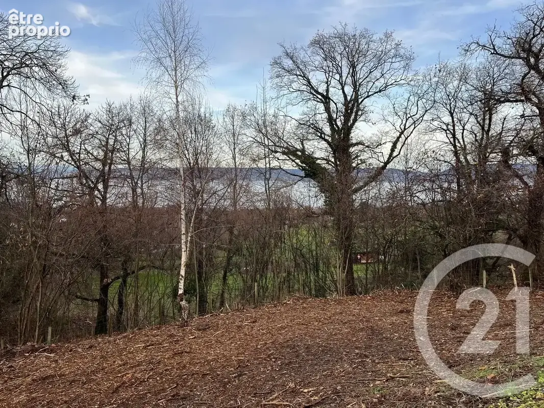 Terrain 1 458 m² à vendre à Maxilly-Sur-Leman (74500) - photo 4