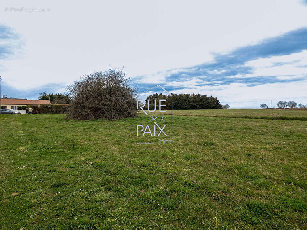 Terrain à SAINT-CLAIR