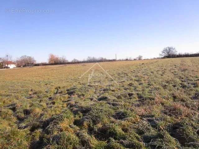 Terrain à VARENNES-SUR-ALLIER