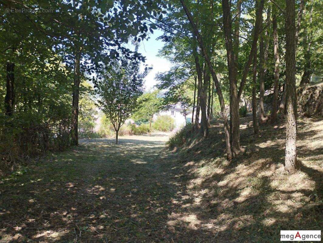 Barre-des-Cévennes – Maison 2 ch. + terrain - photo 10