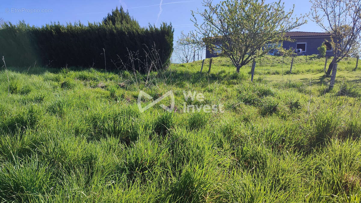 arrière du terrain - Terrain à CRANSAC