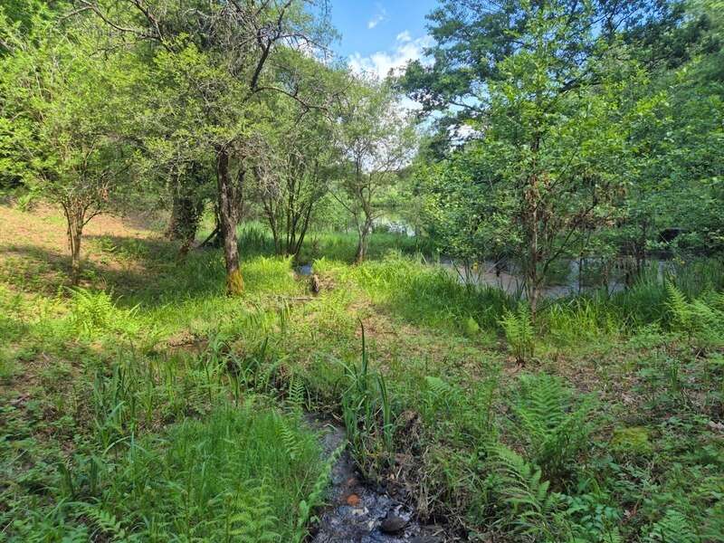Terrain à PRESSIGNAC