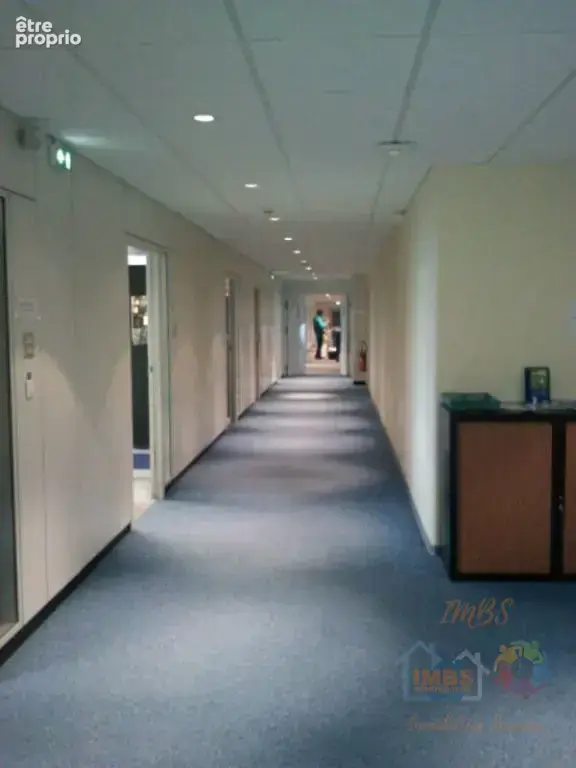 Commerce 934 m² à Mulhouse  - photo 5