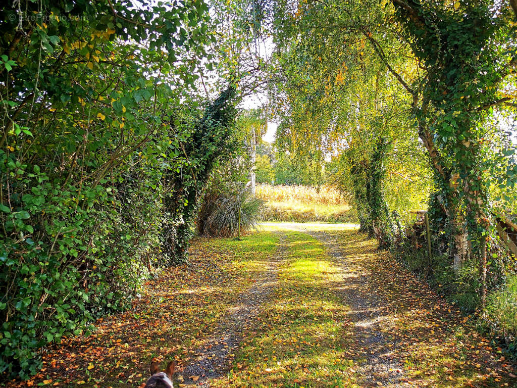Maison à MONTIGNE-LES-RAIRIES