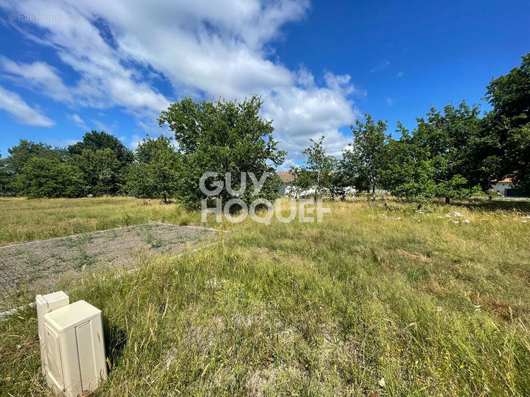 Terrain à PARENTIS-EN-BORN