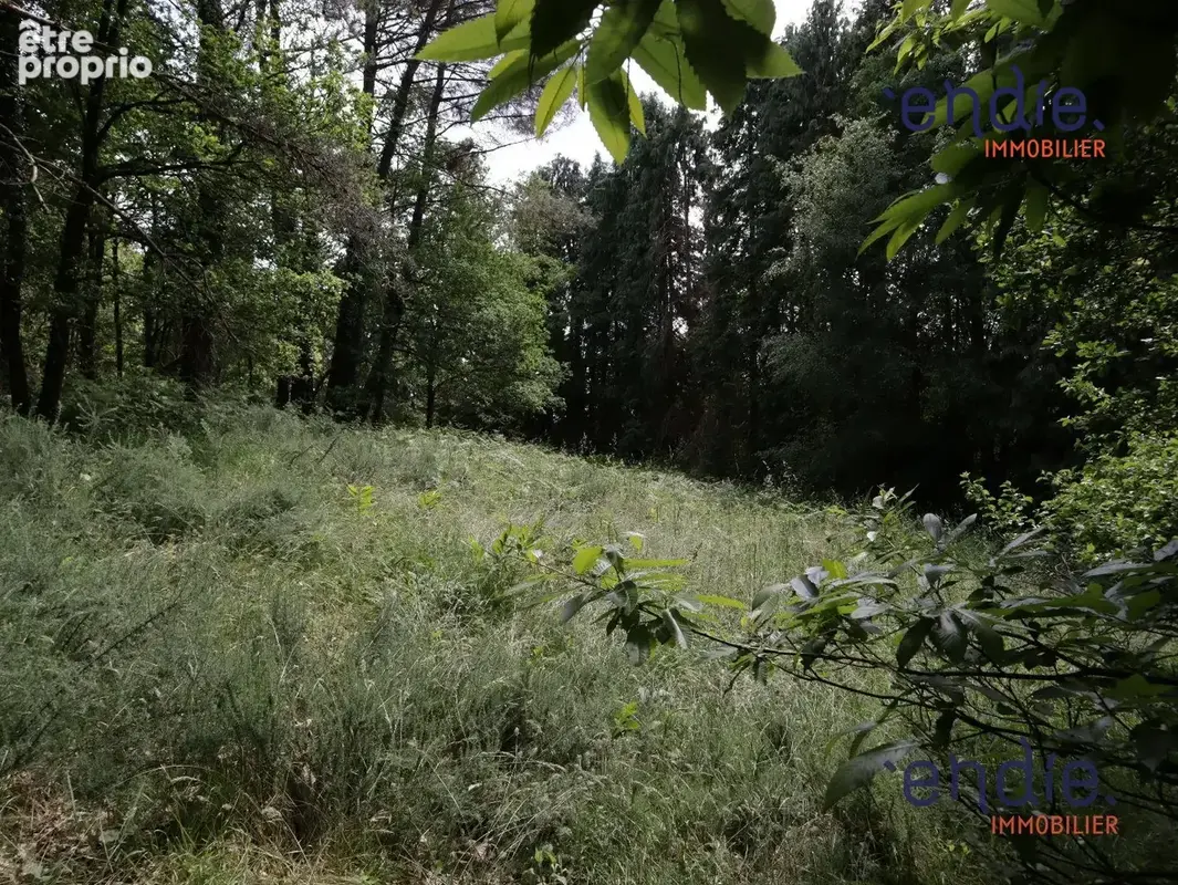 Maison 1 pièce 43 m² à vendre à Melrand (56310) - photo 7