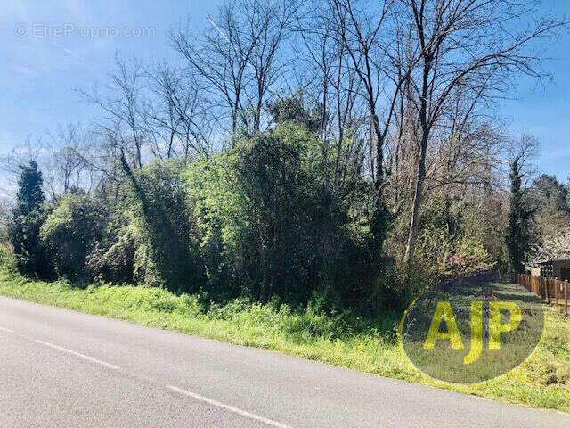 Terrain à SAINT-GERMAIN-D&#039;ESTEUIL