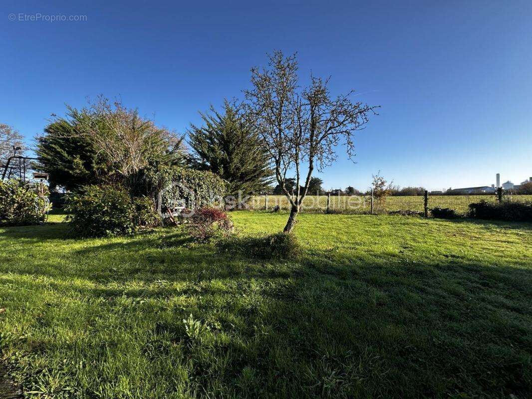 Maison à MONTOIR-DE-BRETAGNE