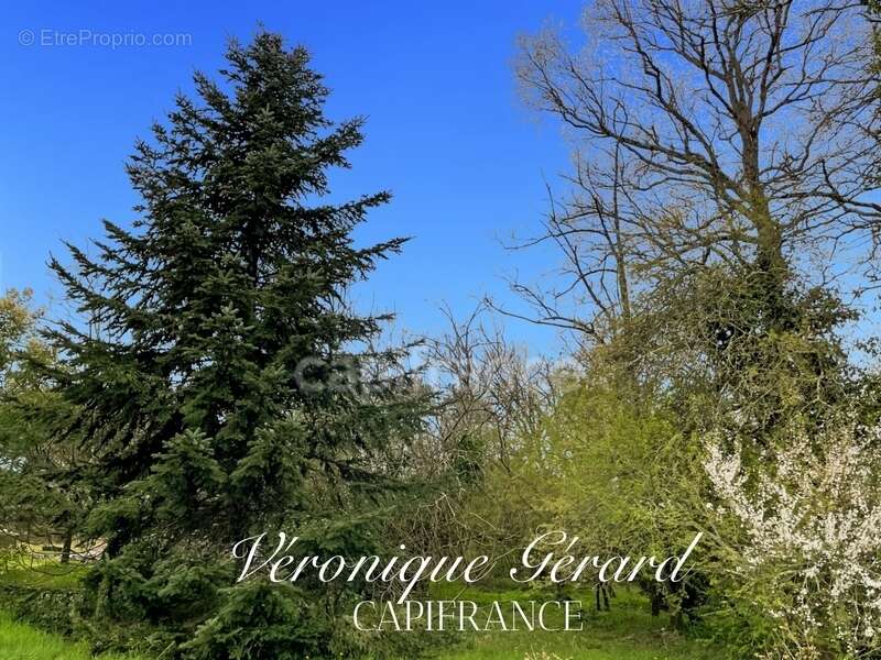 Maison à SAINT-SAVIN