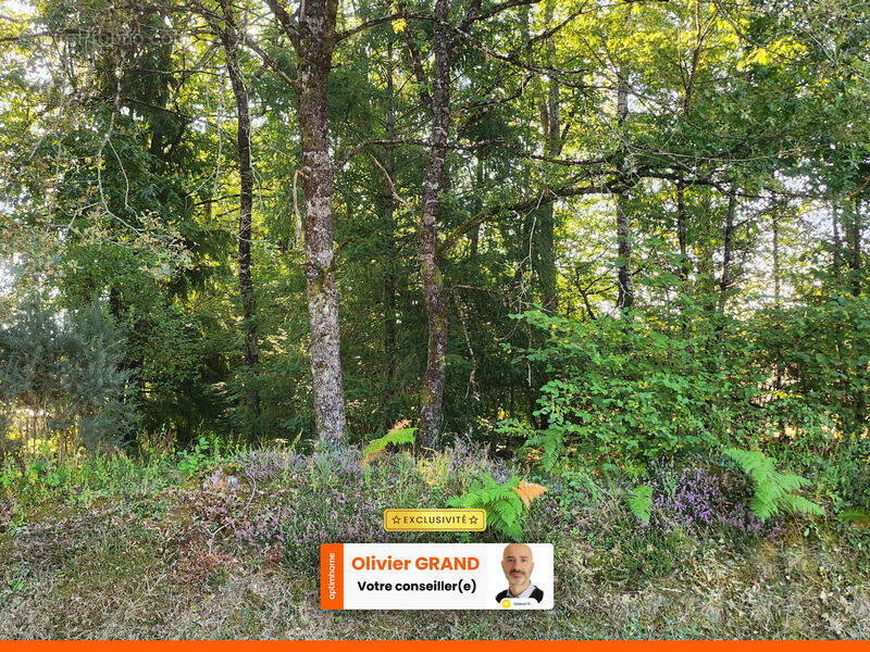 Terrain à ORADOUR-SUR-GLANE