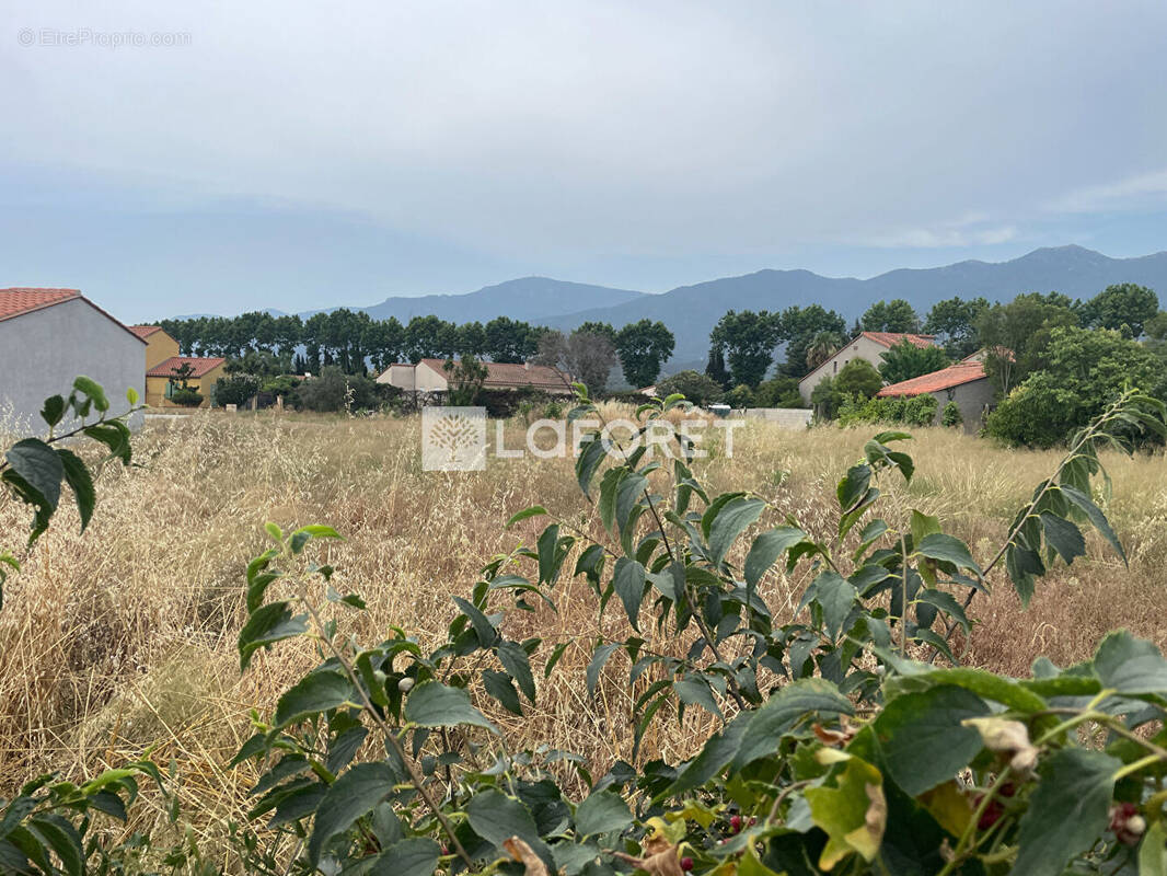Terrain à MONTESQUIEU-DES-ALBERES