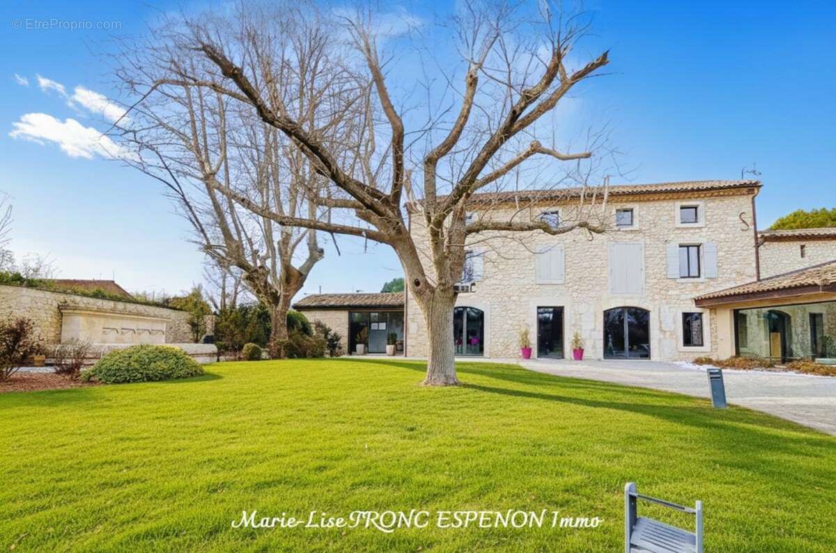 Maison 471 m² à Velleron  - photo 2