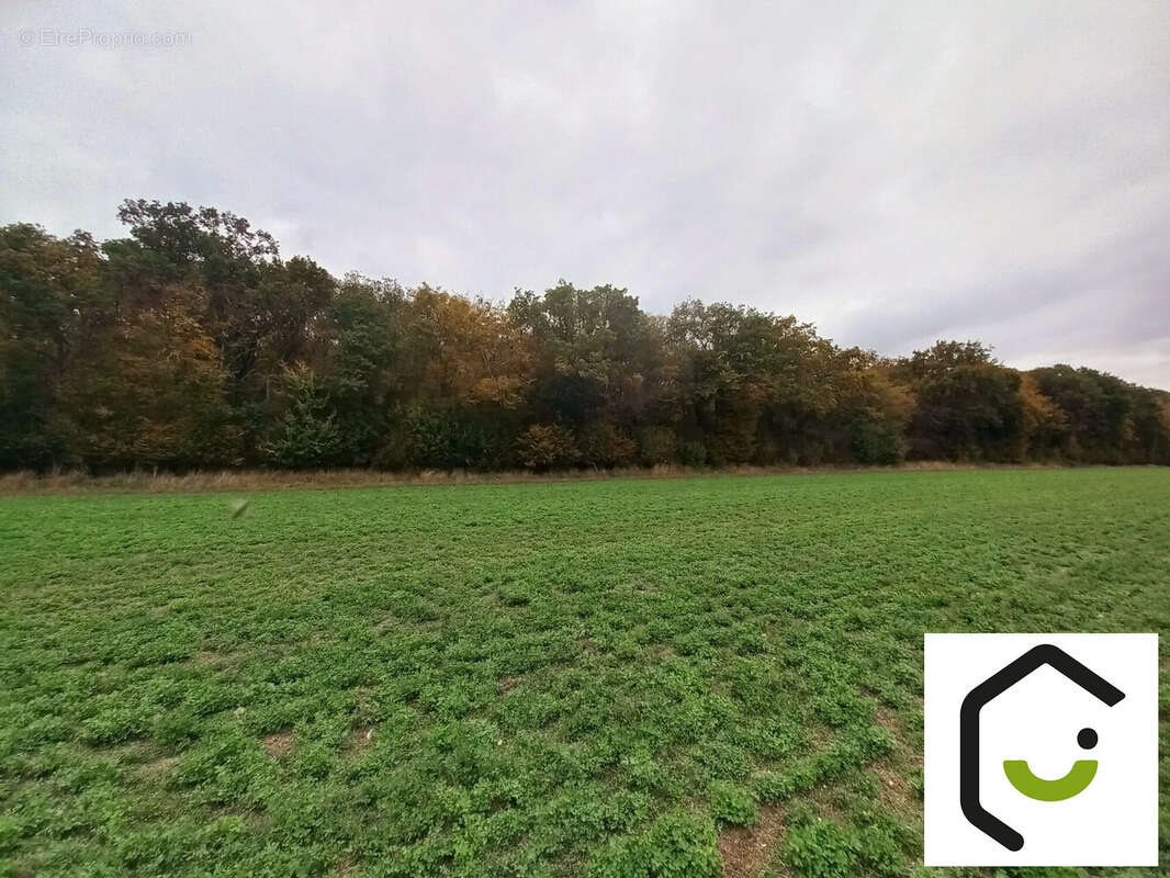 Terrain à SAUVILLERS-MONGIVAL