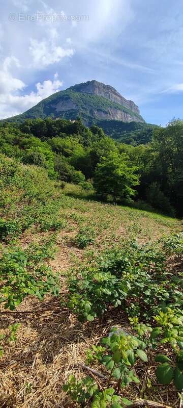 Terrain à LA TRONCHE