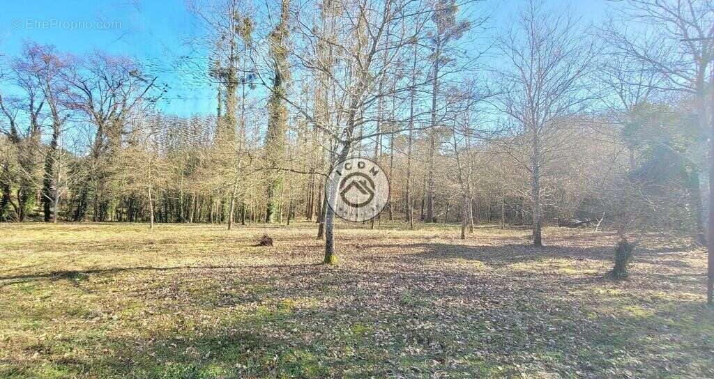 Terrain à CARCARES-SAINTE-CROIX