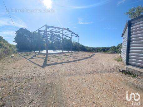 Photo 3 - Commerce à MONS