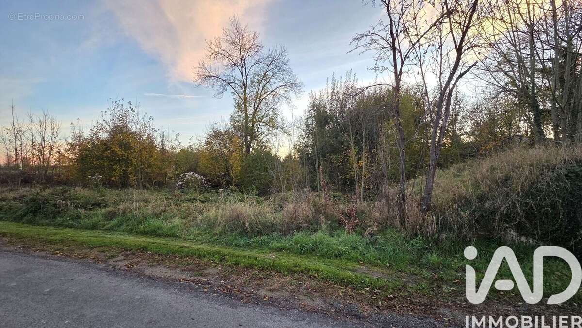 Photo 3 - Terrain à SOMME-SUIPPE