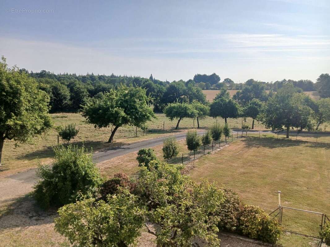 Maison 225 m² à Port-Brillet  - photo 3