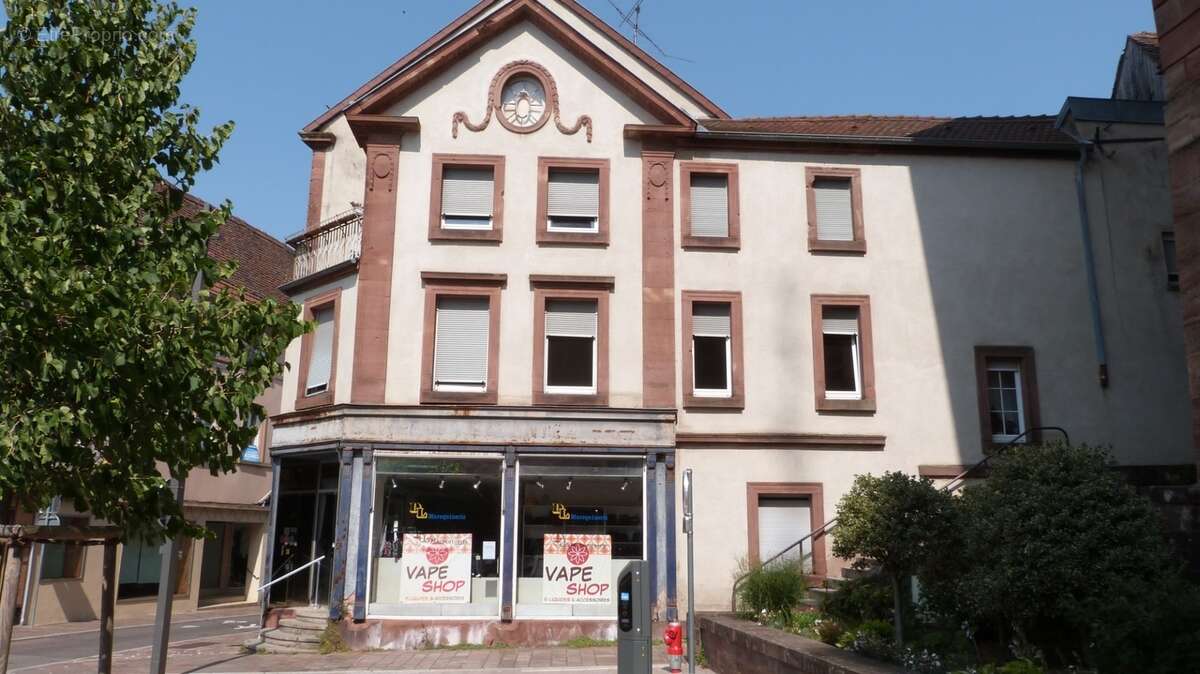 Appartement à vendre 2 pièces BITCHE (57) - photo 3