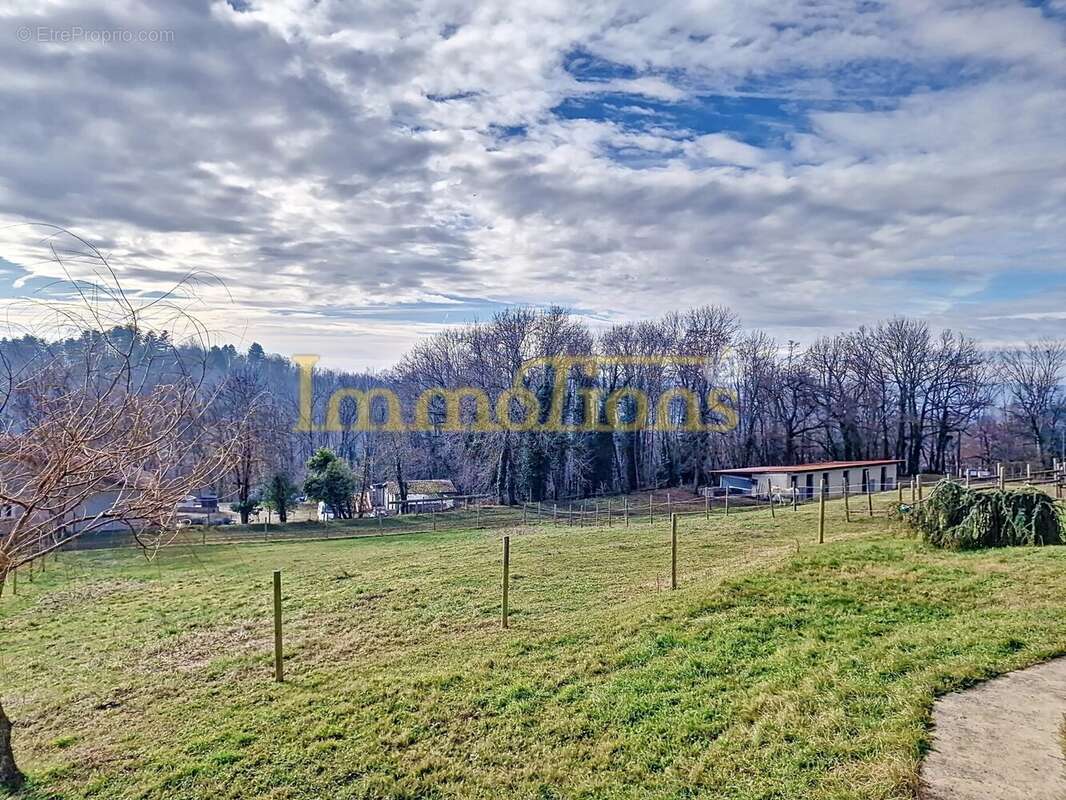 Domaine avec vue panoramique, piscine, hébergements et environnement idéal pour chevaux et nature - photo 16