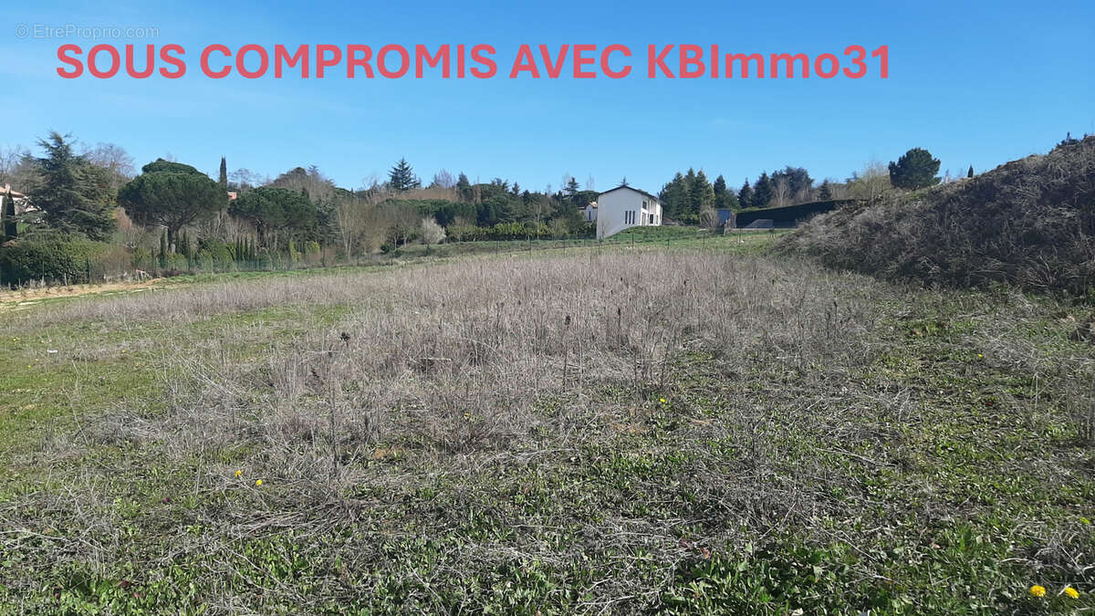 Terrain à VIEILLE-TOULOUSE