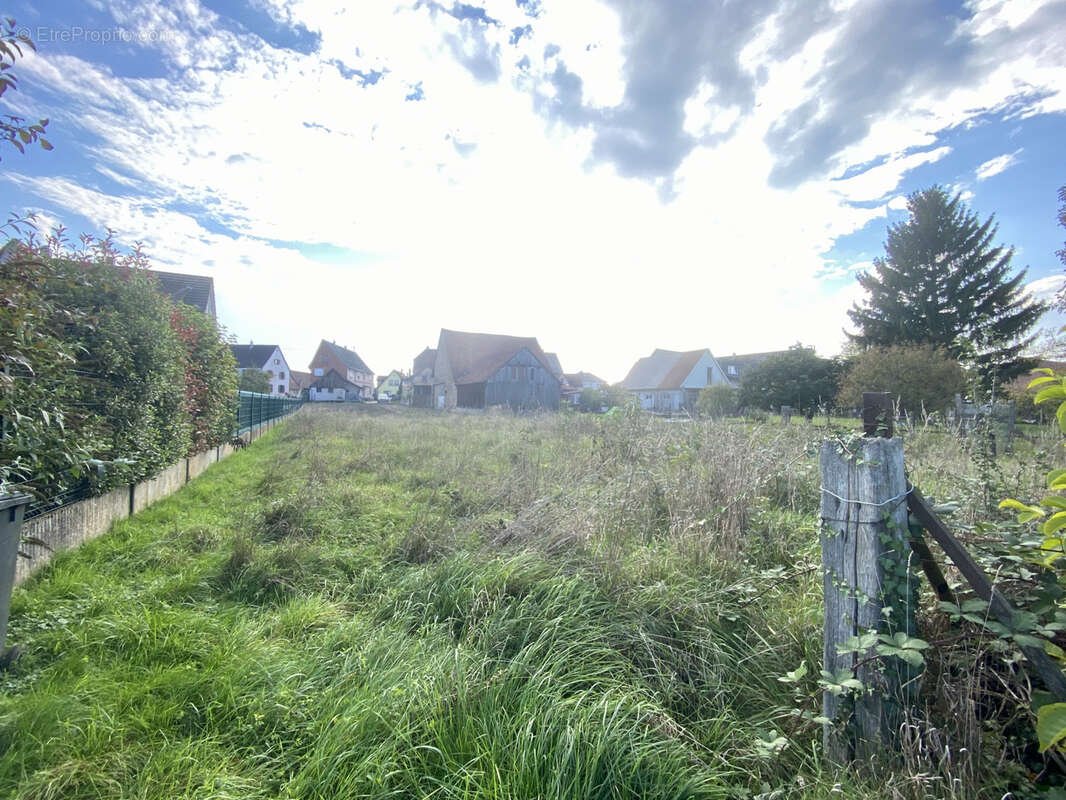 Terrain à ROESCHWOOG