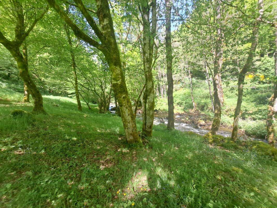 Maison à LA ROCHE-CANILLAC