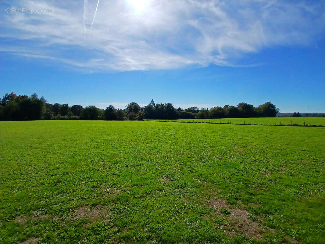 20251007_145417 - Maison à SAINT-PRIEST-LES-FOUGERES