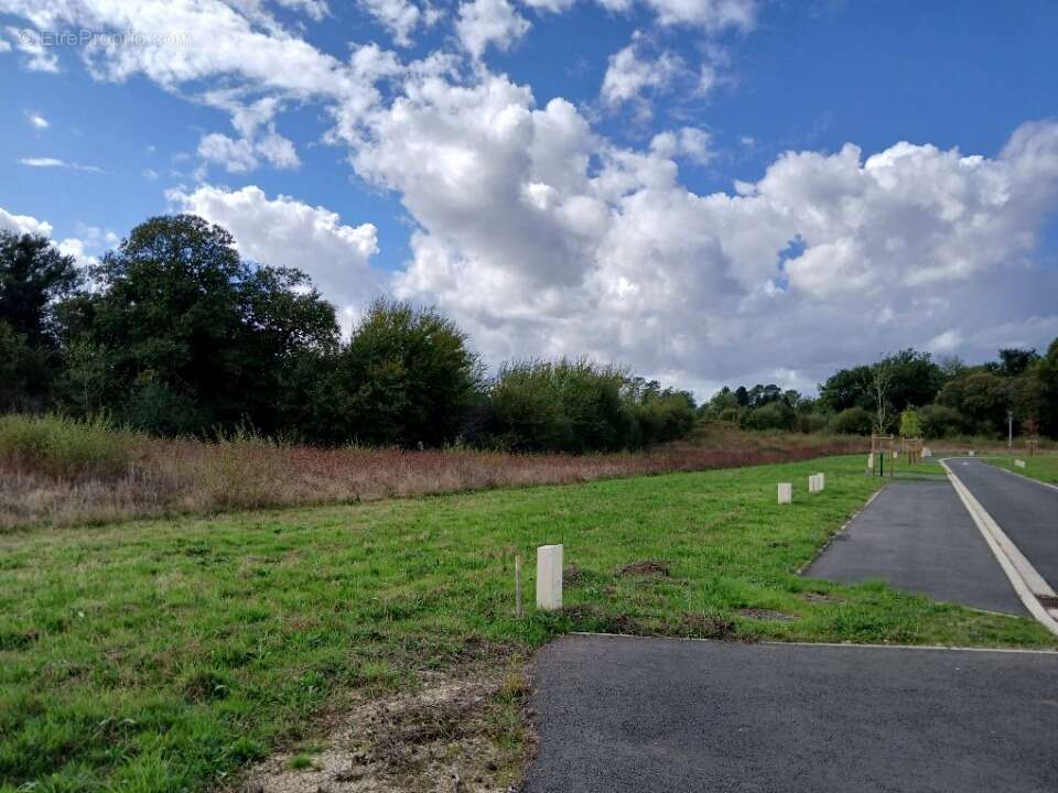 Terrain à MARSAC-SUR-L'ISLE