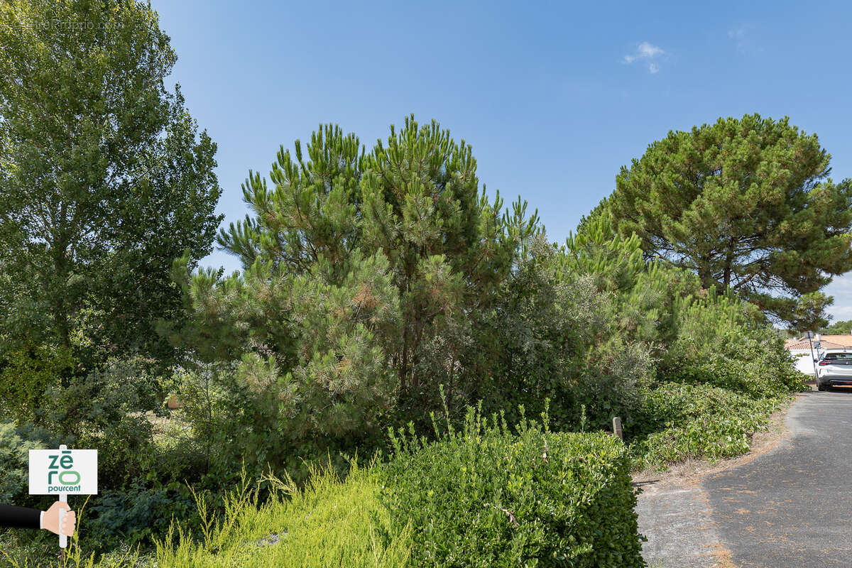 Terrain à LA TRANCHE-SUR-MER