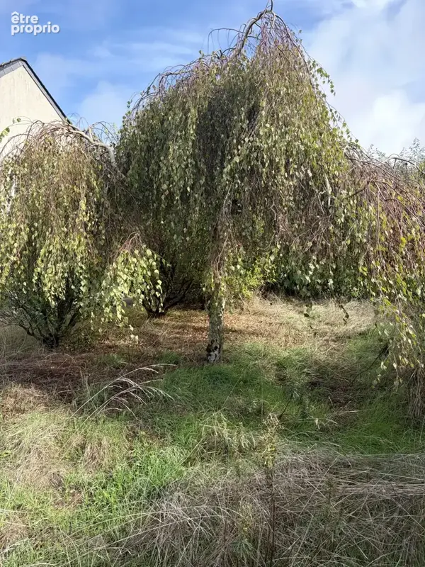 Nouveauté RARE dans le centre de Guérande / Maison de plain - photo 9