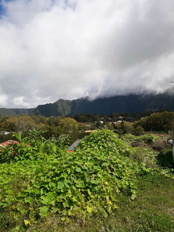 Maison à LA PLAINE-DES-PALMISTES