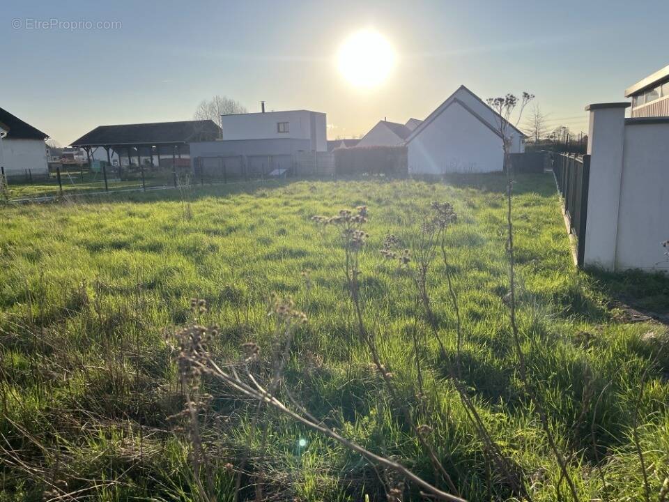 Terrain à LE MANOIR