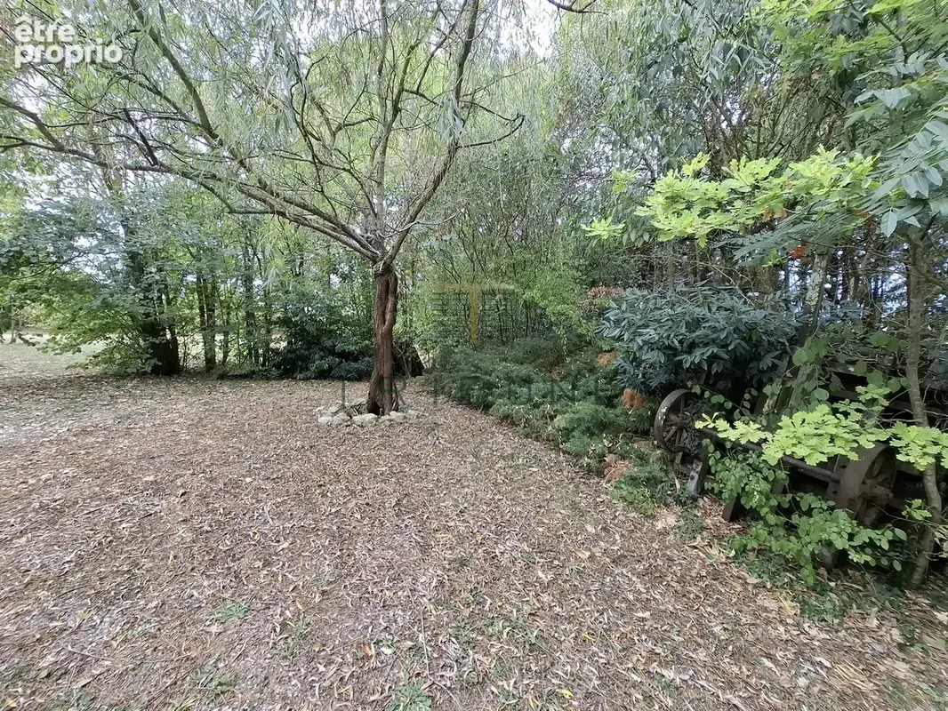 Longère en pierres avec piscine, grange et prairie, à 20 minutes d'Agen et de Villeneuve sur Lot - photo 25