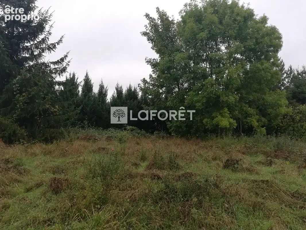 Terrain 630 m2 + Projet de Construction Maison 95 m2 à Vigy Parcelle n° 1 - photo 8
