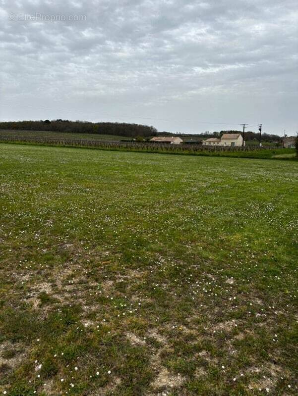 Terrain à MONESTIER