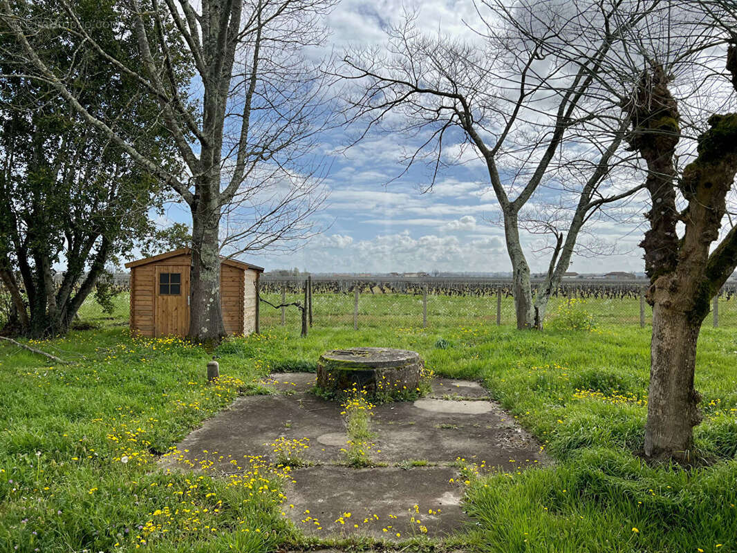 Maison à SAINT-EMILION
