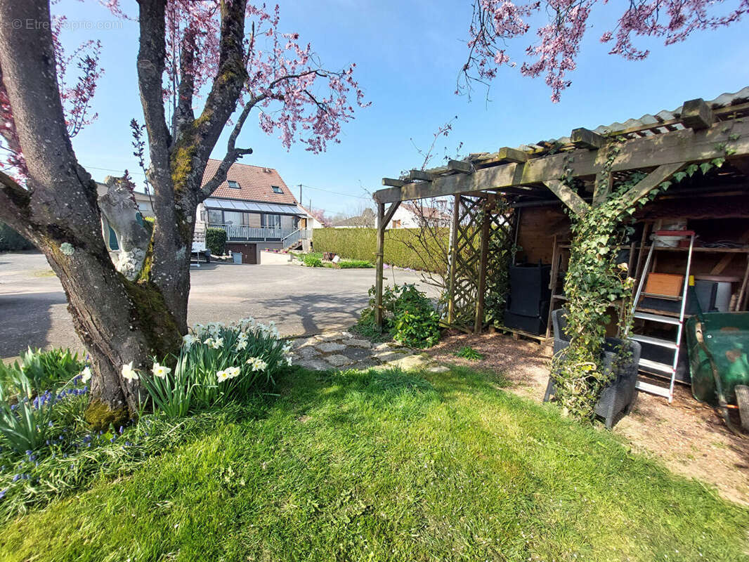 Maison à FENETRANGE