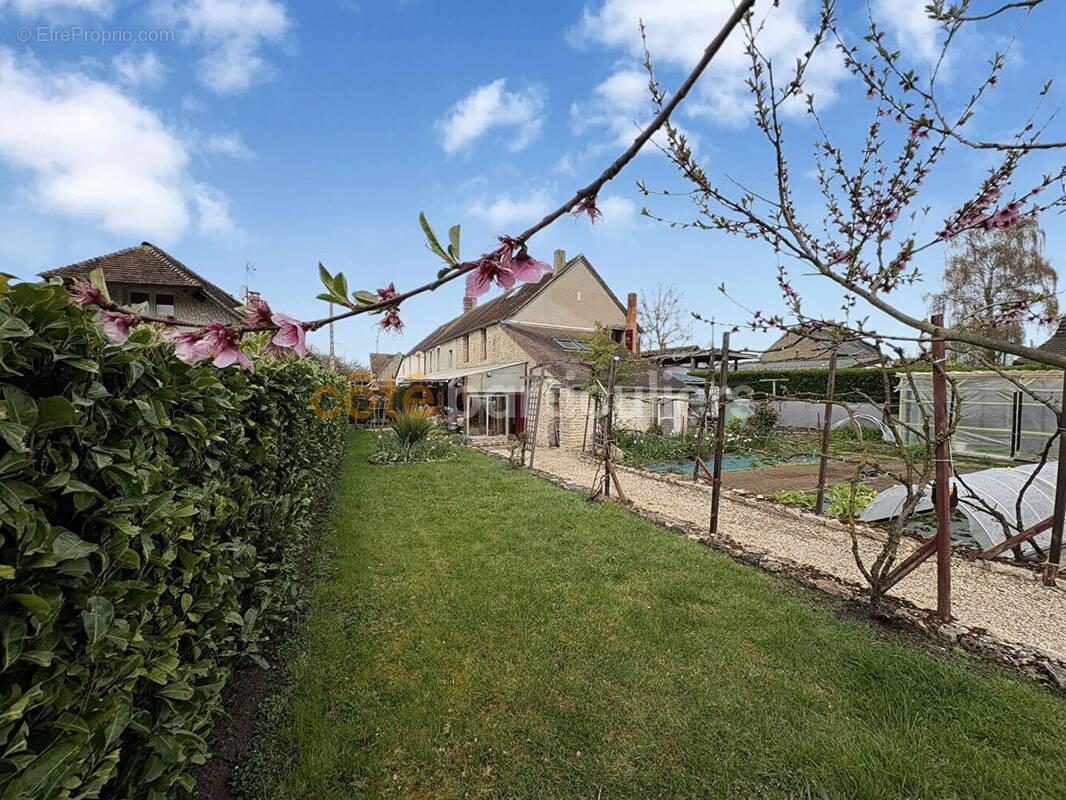 Maison à MEZIDON-CANON