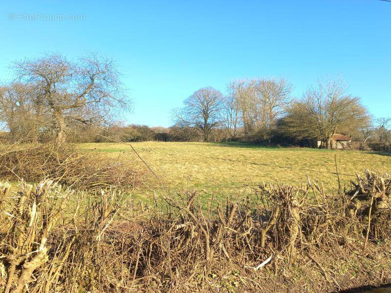 Terrain à LUGY