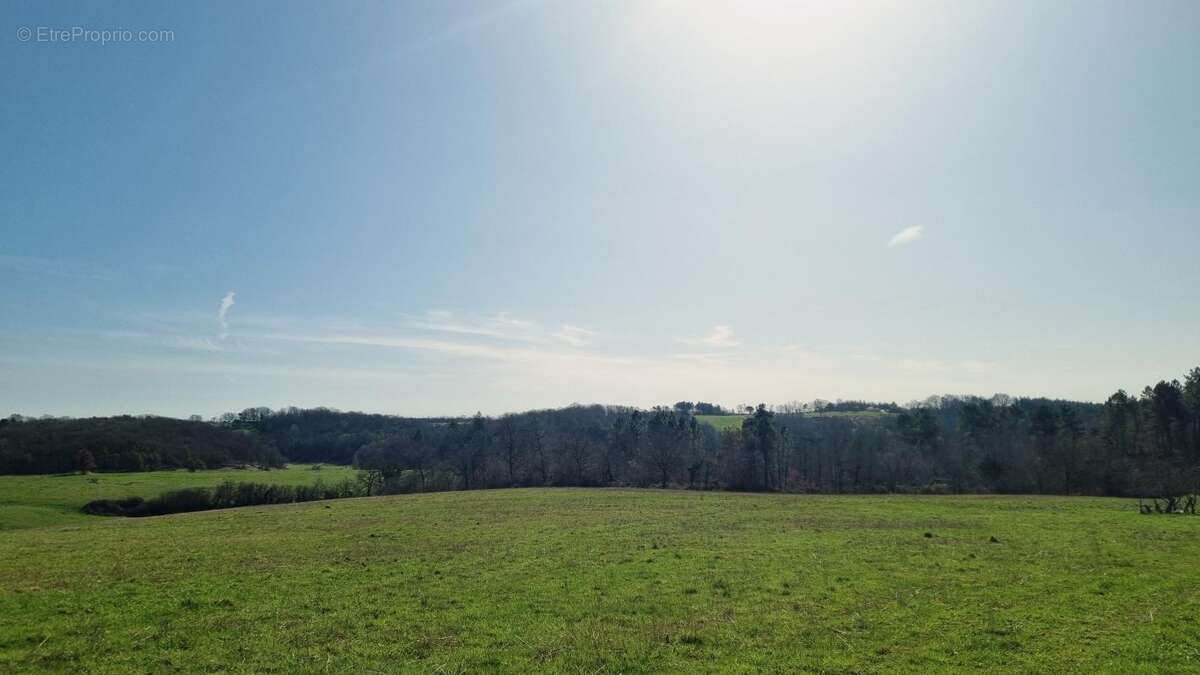 Terrain à DOUVILLE