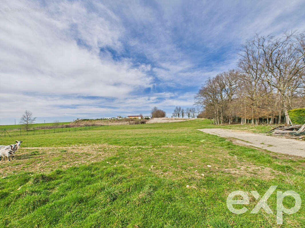 Maison à SAINT-GEORGES-D'ESPERANCHE