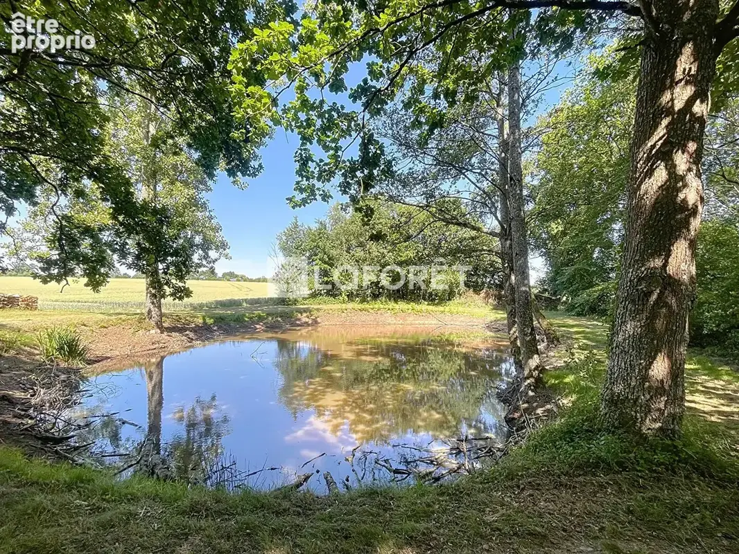 Étang 2 Hectares avec chalet, bois et dépendances BRIOUZE - Normandie - photo 16