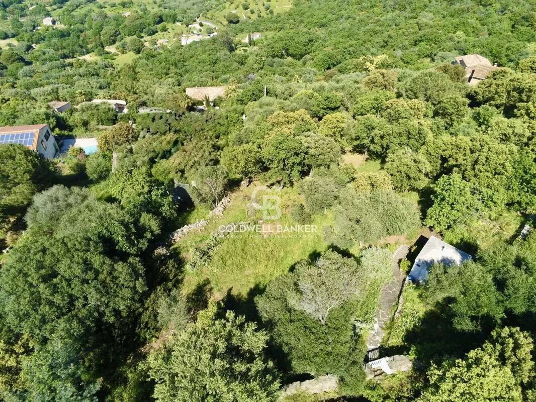 Terrain à MONTICELLO