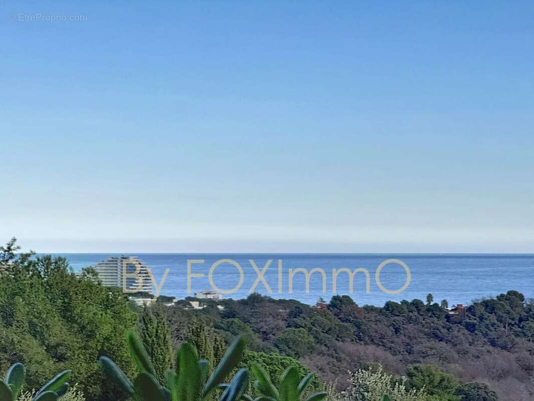 Villa vue mer, cote d azur, piscine, jardin, parking , garage exposition sud - photo 3