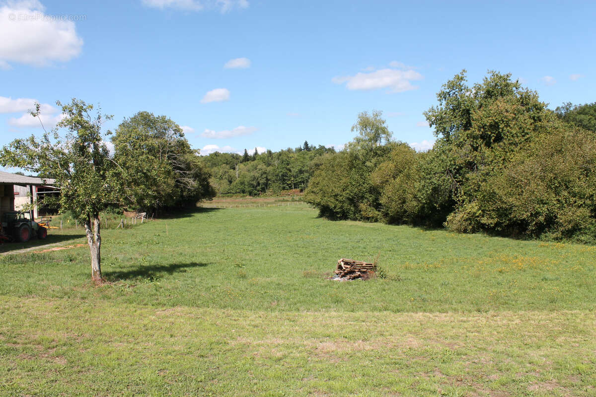 Fermette avec terrain - photo 8