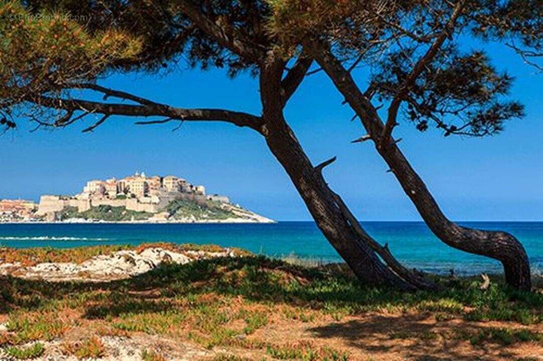 Appartement à CALVI