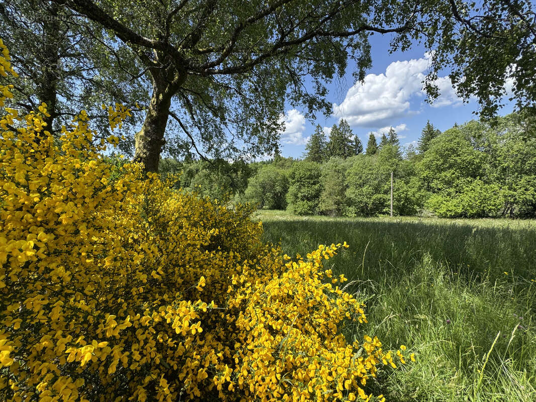 Maison à RAMONCHAMP